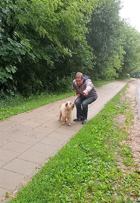 Savanoriai vedžioja šunis Tautmilės prieglaudėlėje