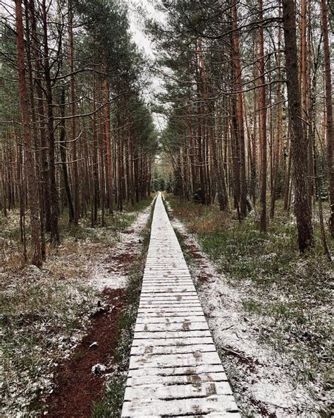 Emocinės būsenos po aborto