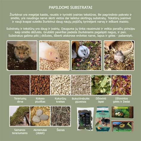 Vaistų nuo parazitų vartojimas nėštumo metu: rizika ir rekomendacijos