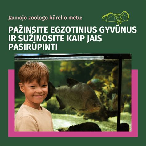 Vaikai glosto gyvūnus kontaktiniame zoologijos sode