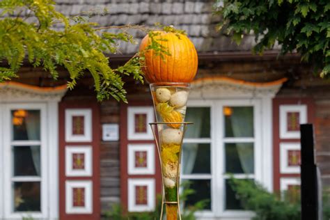 Moliūgų skulptūrų galerija