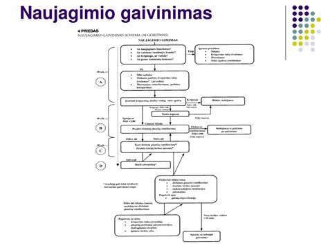 Naujagimio gaivinimo schema
