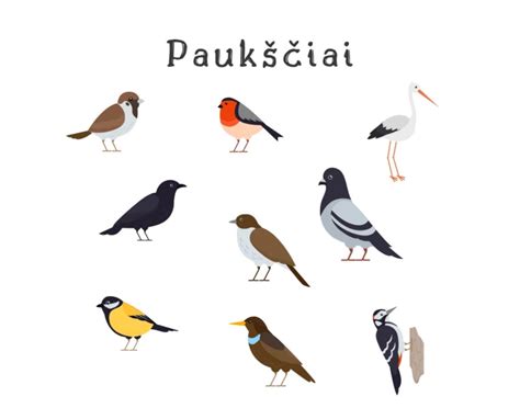 Paukščių orientacijos schema