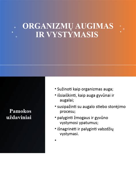 Vaisiaus augimas ir vystymasis trimestrais