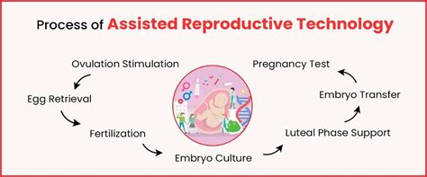 schema of assisted reproduction