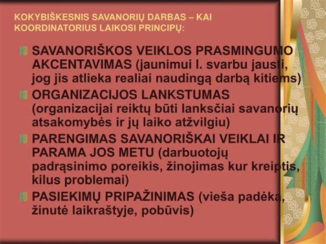 Savanorių darbas prieglaudoje