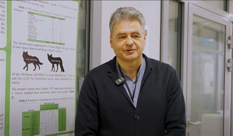 Kaip plinta parazitai