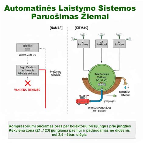 scheminė vištos reprodukcinės sistemos iliustracija