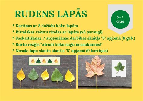 rudens lapu aplikacijos