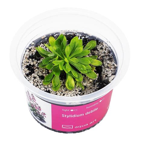 trigerinio augalo Stylidium mechanizmas