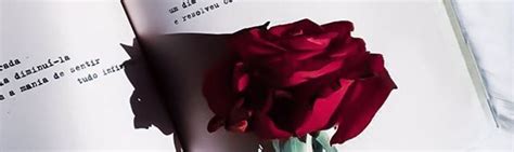 Simbolis meilės ir grožio