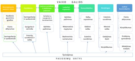 Vaiko ugdymo(si) sritys