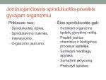 schema: jonizuojančiosios spinduliuotės poveikis embrionui