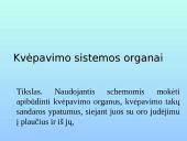 Nėščiosios kvėpavimo sistemos pokyčiai