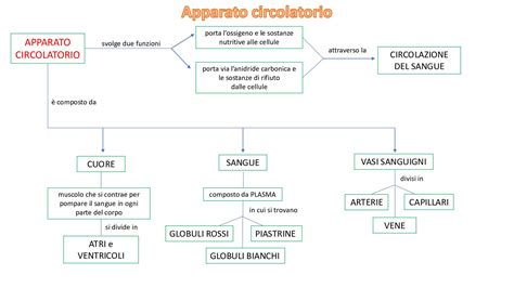 Schema: Medikamentinio aborto principas