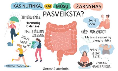žarnyno invaginacijos schema
