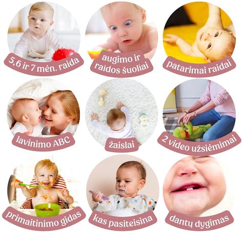 5 menesiu kudikio raidos etapų infografika
