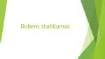 Dubens stabilumo testavimo schema