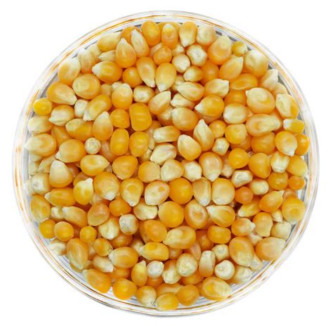 pavojingi palaidi kukurūzų grūdeliai