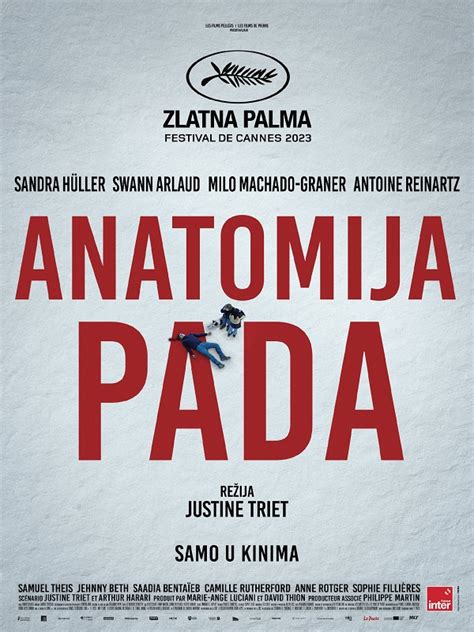 Anatomija, rodanti gaktos sąvaržą