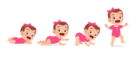 Kūdikio augimo schema trečią trimestrą