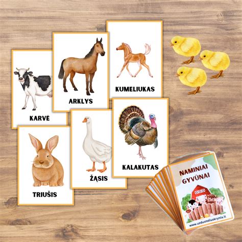 Lavinamosios kortelės su gyvūnais