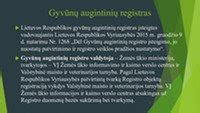 Gyvūnų augintinių registro statistika