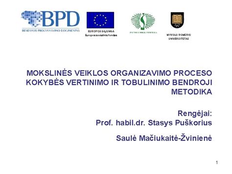 Kokybės vertinimo proceso dokumentacija