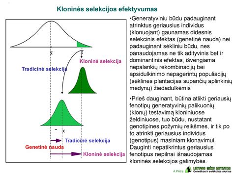 genetinė paveldėjimo schema