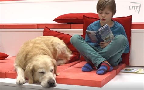 vaikai skaito pasakas