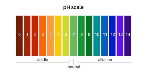 Makšties pH balanso diagrama