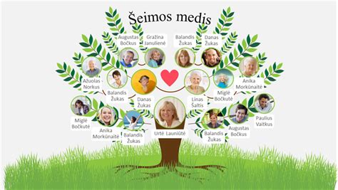 Šeimos medis, iliustruojantis paveldėjimo tikimybę