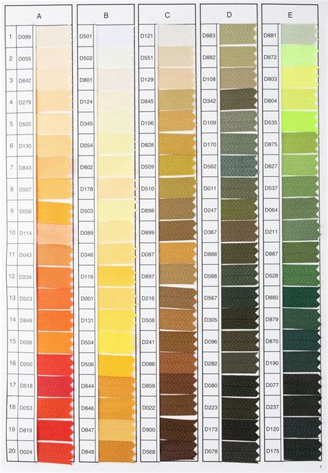 Nenormalios makšties išskyros spalvų paletė