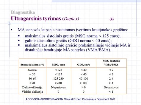 Širdies ultragarsinis tyrimas