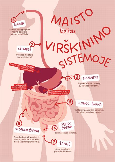 Kūdikio virškinimo sistema ir refliukso mechanizmas