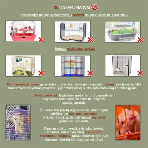 Infografika: Nauda metant rūkyti skirtingais nėštumo etapais