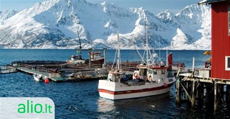 Darbas moterims Norvegijoje vaikų priežiūra