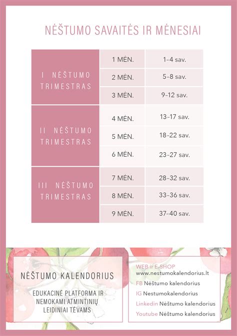 Nėštumo savaitės kalendorius
