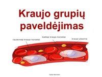Rezus faktorių nustatymo schema ir kraujo grupių paveldėjimas