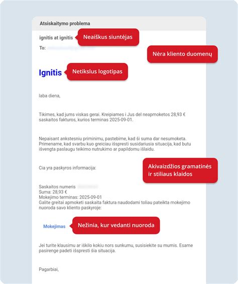 Elektroninio gimimo įrašo pavyzdys