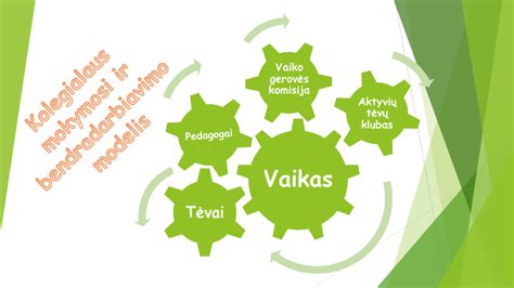 Vaikų deinstitucionalizacijos modelis