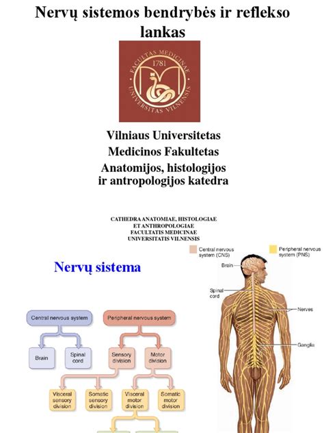 Nervų sistemos pažeidimo simptomai