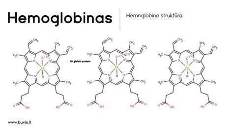 Hemoglobino molekulės struktūra