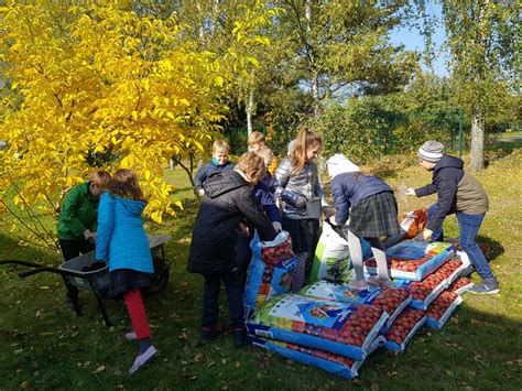 Žaliosios edukacinės erdvės: levandų laukas, svajonių tvirtovė, sliekų namai, sodininko laboratorija.