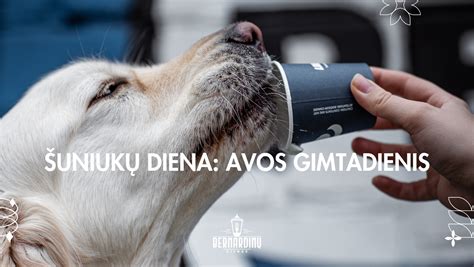 Šuniukų higienos produktai