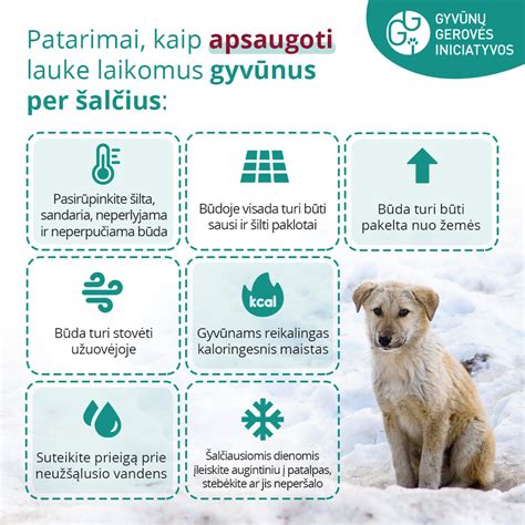 Infografika: Kaip apsaugoti vaiko ausis nuo uždegimo
