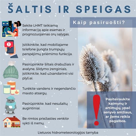 Infografika: Socialinės globos finansavimo modelis Lietuvoje