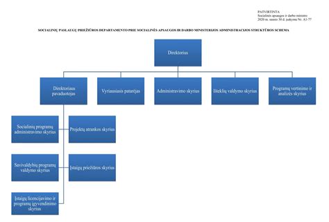 Socialinių paslaugų poreikio vertinimo schema