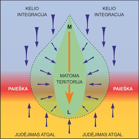 schema, iliustruojanti persileidimo eigą