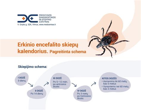Erkinio encefalito diagnozė